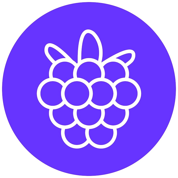 Vektor vektorový design, styl ikony raspberry rhapsody