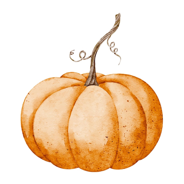 Vektor watercolor pumpkin illustration with stem for autumn and halloween designs drawing of orange gourd on isolated background for harvest festival invitations painting of seasonal vegetable