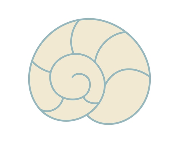white seashell spiral shell marine underwater swirling sea shell of round spiral shape symbol ocean