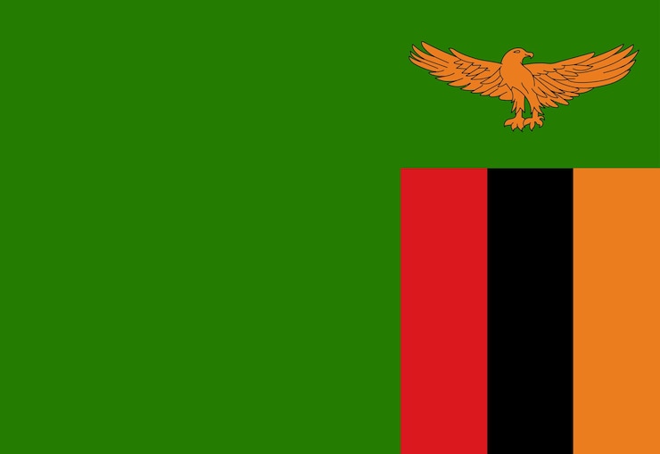 Vektor zambia flag illustrator country flags