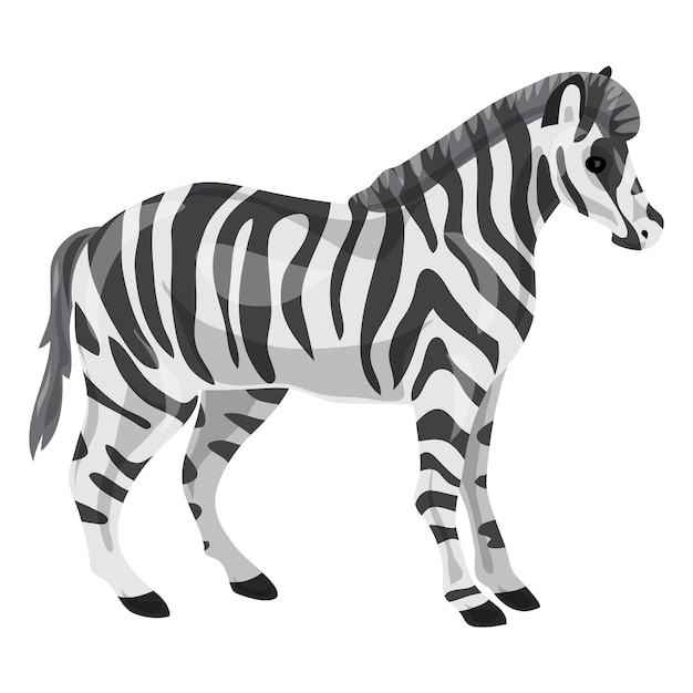 Zebra icon Cartoon of zebra vector icon for web design isolated on white background