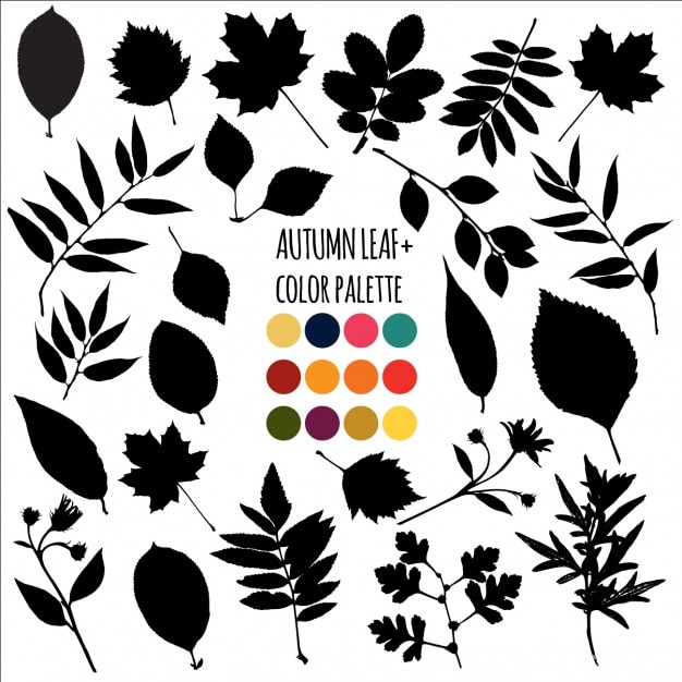Zdarma Vektor black autumn leaves collection