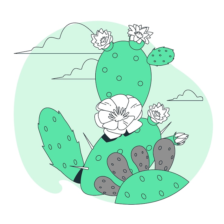 Zdarma Vektor cactus concept illustration