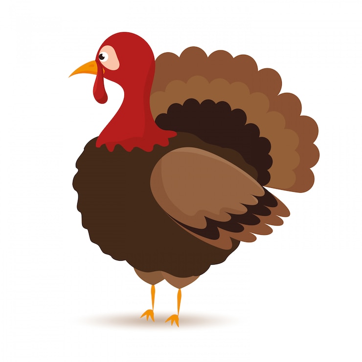 Zdarma Vektor cartoon turkey 