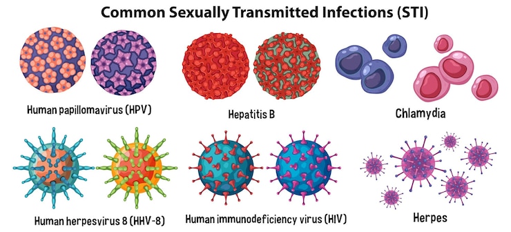 Zdarma Vektor common sexually transmitted infections sti