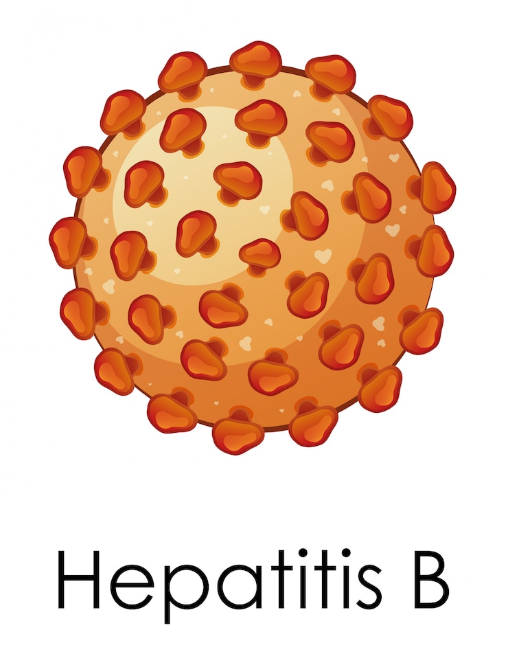 Zdarma Vektor diagram znázorňující virus hepatitidy b
