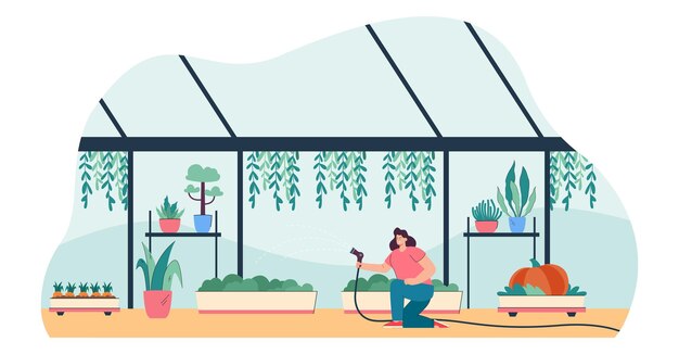 gardener watering plants with greenhouse equipment. woman growing flowers, greenery in farm garden of orangery with glass walls and window flat vector illustration. conservatory, agriculture concept