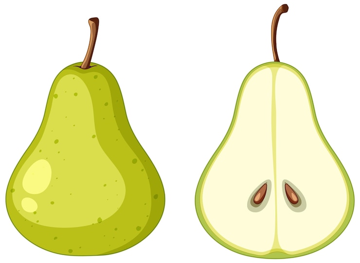 Zdarma Vektor green pear and half of pear