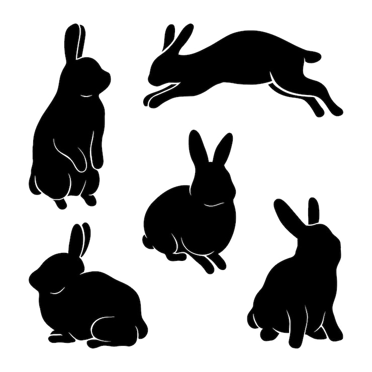 Zdarma Vektor hand drawn animals silhouette illustration