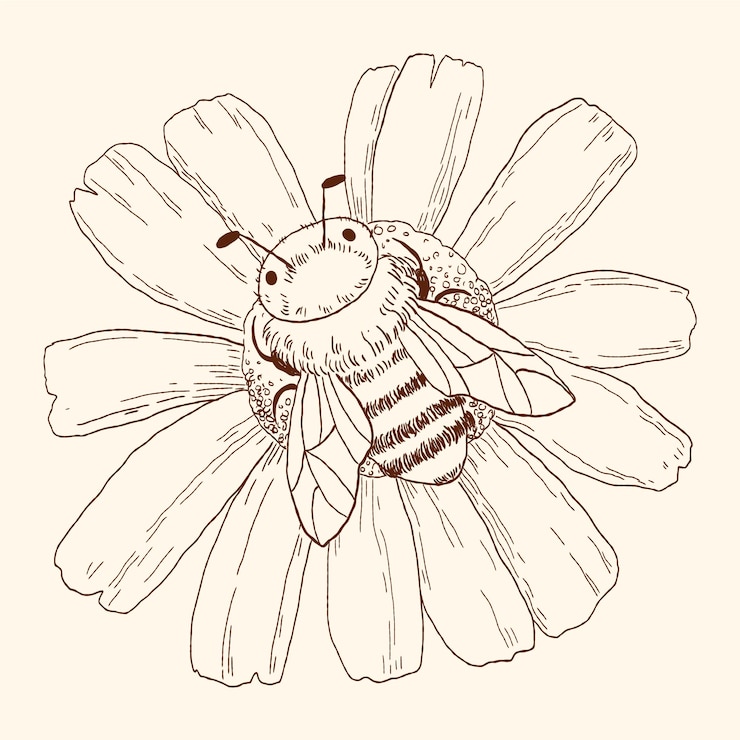 Zdarma Vektor hand drawn bee outline illustration