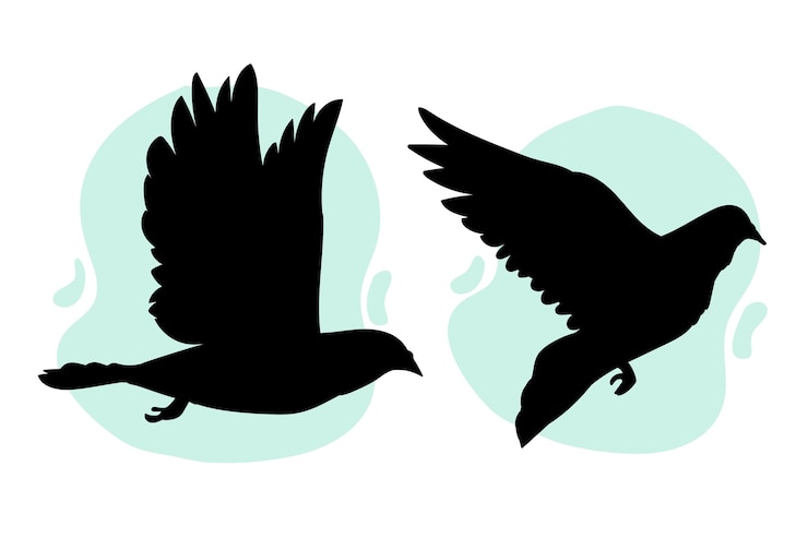 Zdarma Vektor hand drawn flying dove silhouette