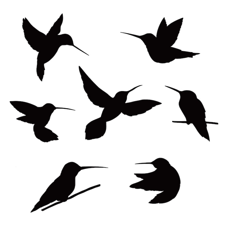 Zdarma Vektor hand drawn hummingbird silhouette