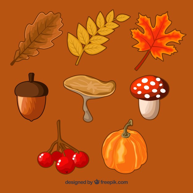 hand drawn pack of autumn elements