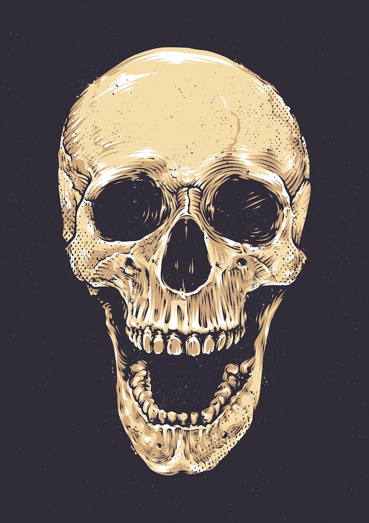 Zdarma Vektor hand drawn realistic skull