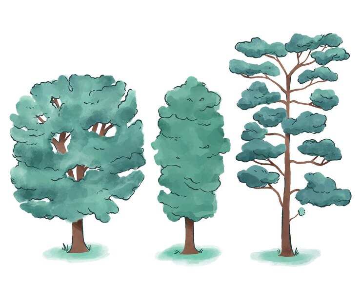 Zdarma Vektor hand painted type of trees collection