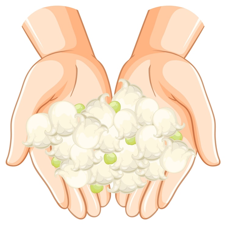 Zdarma Vektor hands holding fresh cotton illustration