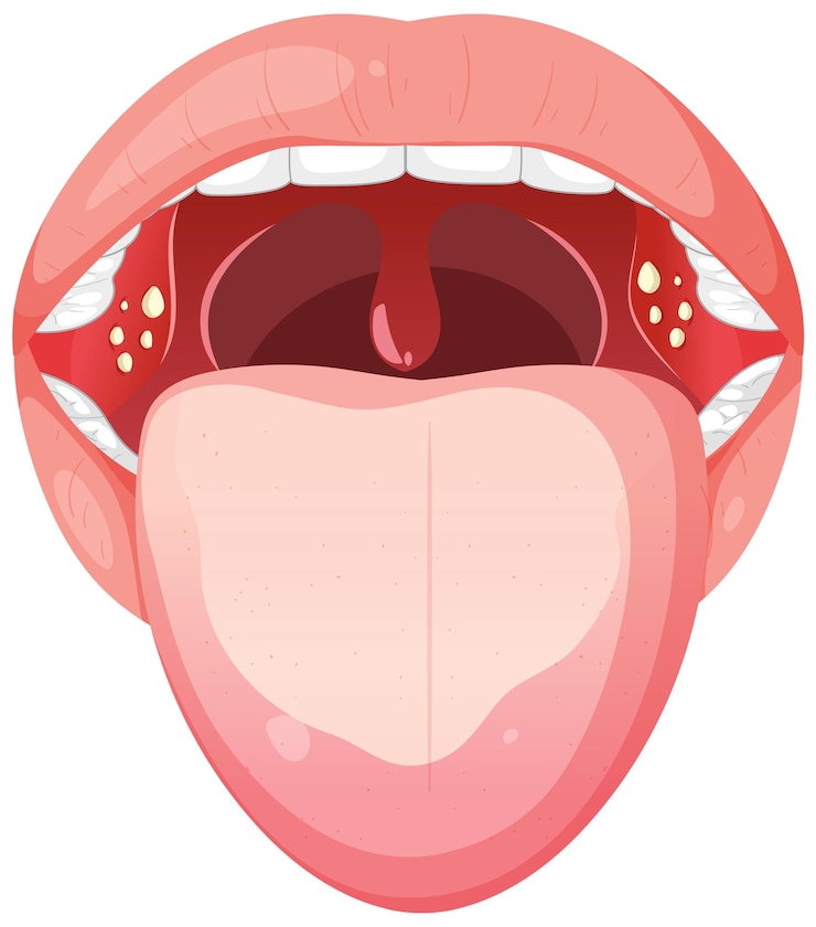 Zdarma Vektor human mouth anatomy illustration