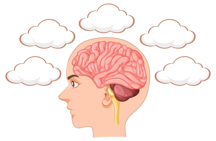 Zdarma Vektor mind and clouds imagination unleashed