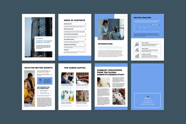 Professional competitiveness annual report