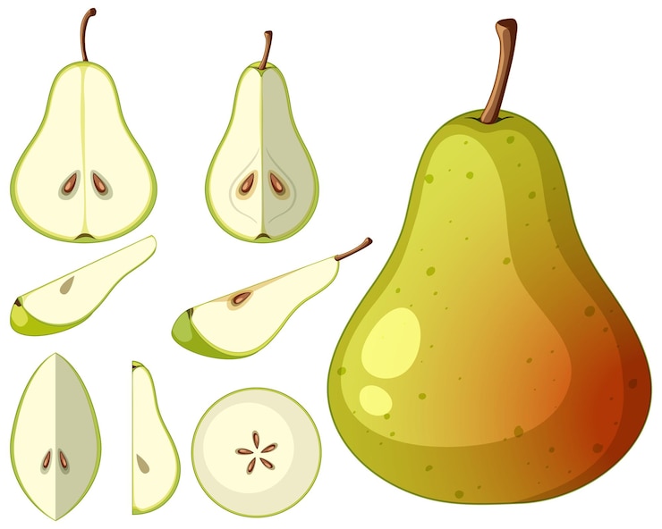 Zdarma Vektor ripe pear and pear in whole or chopped pieces