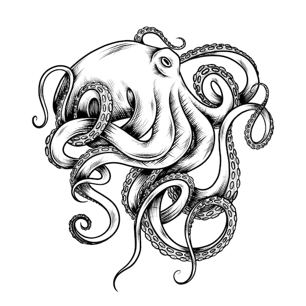 Ručně kreslená ilustrace chobotnice