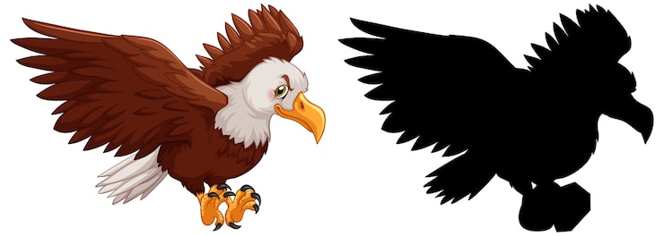 Zdarma Vektor set of eagle characters and its silhouette on white