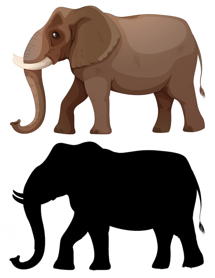 Zdarma Vektor set of elephant character
