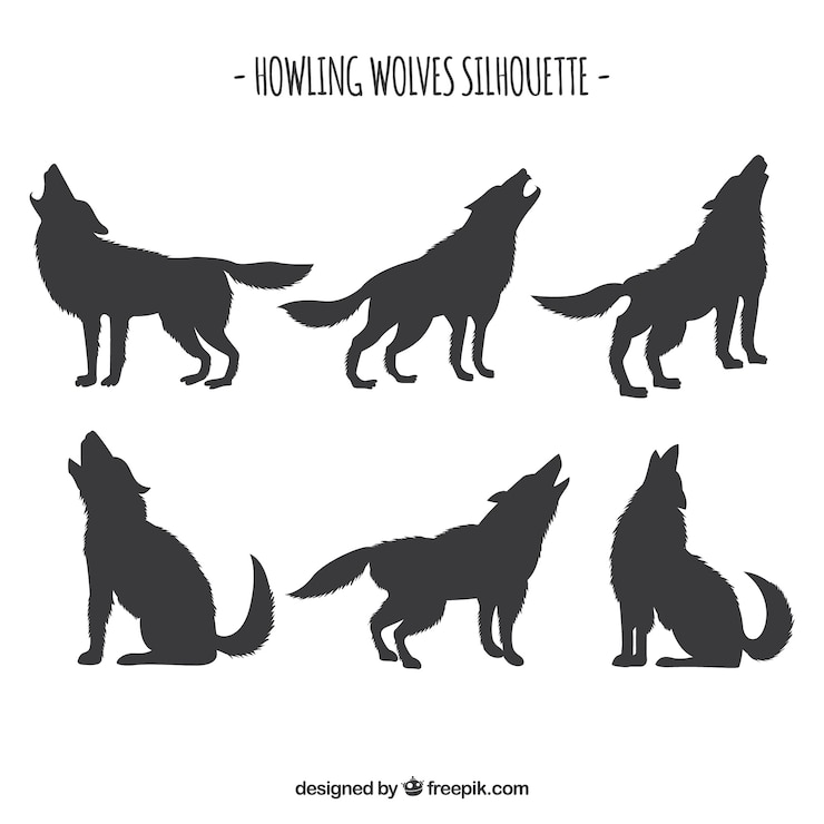 Zdarma Vektor set of wolf silhouettes