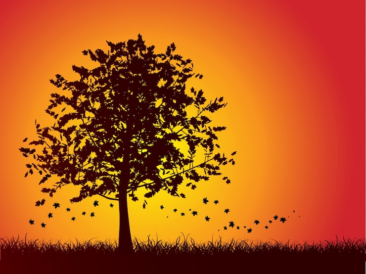 Zdarma Vektor silhouette of an autumn tree with leaves falling