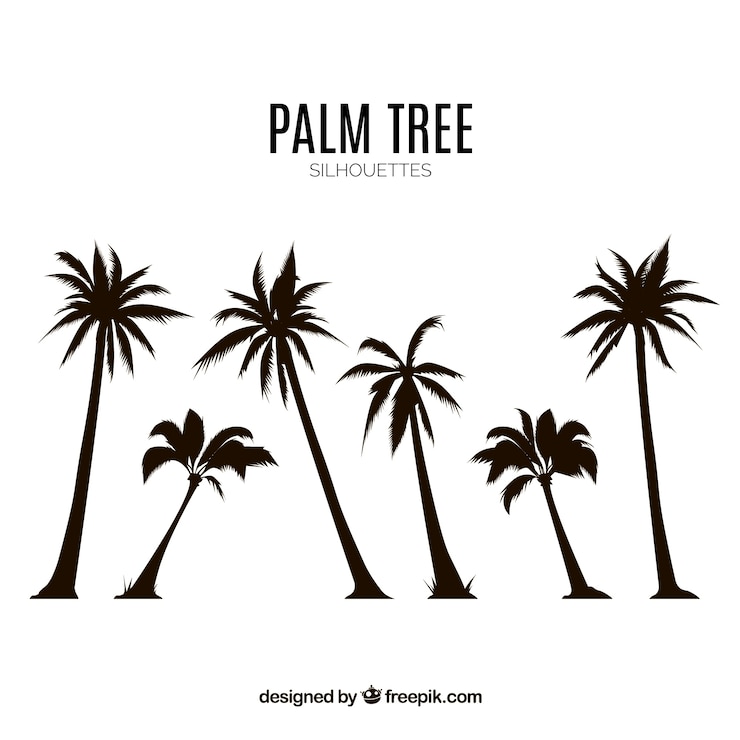 Zdarma Vektor silhouettes set of palm trees