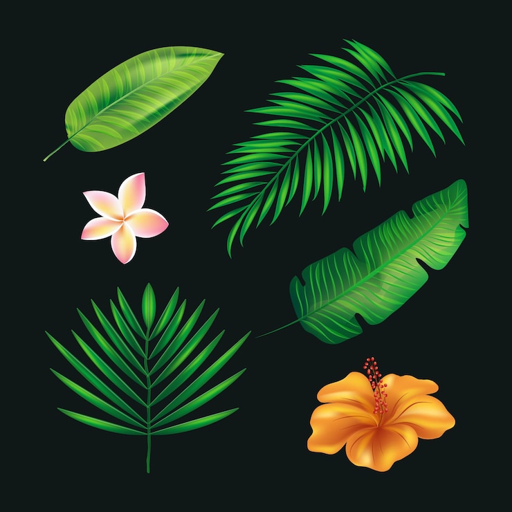 Zdarma Vektor tropical collection of flowers and leaves