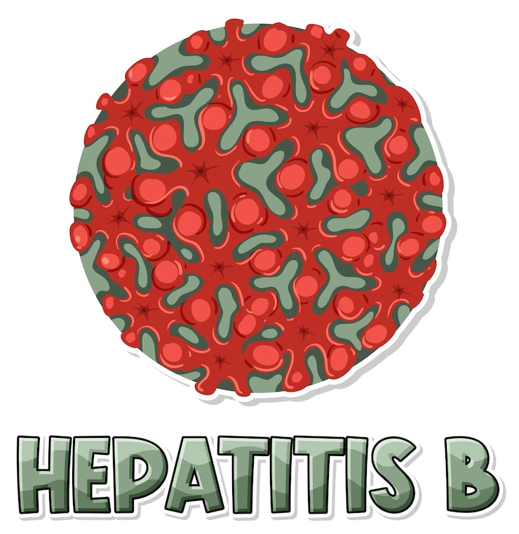 Zdarma Vektor virus hepatitidy b hbv na bílém pozadí