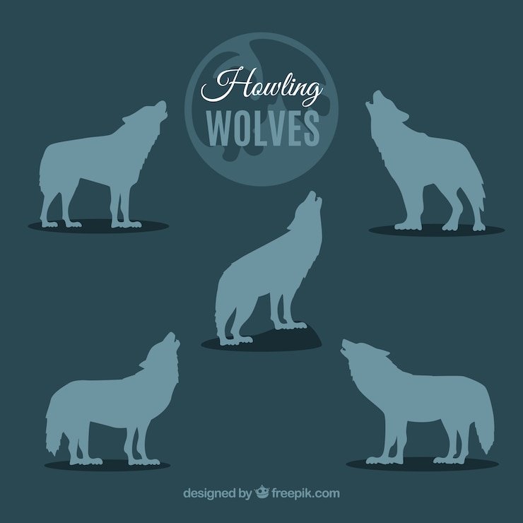 Zdarma Vektor wolf silhouettes collection