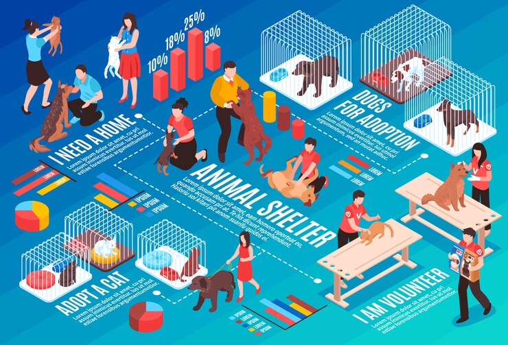 Zdarma Vektor zvířecí útulek, izometrický vývojový diagram s lidskými postavami, psy a kočkami k adopci, vektorová ilustrace