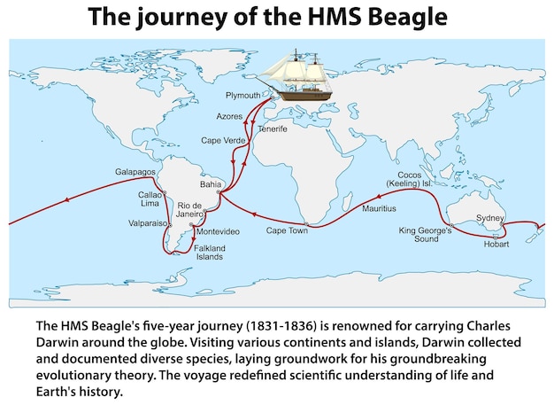 Vetor grátis a jornada do hms beagle informações