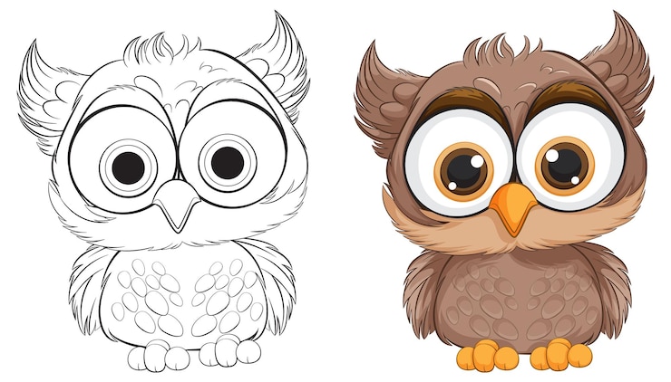 Vetor grátis a simpática coruja de desenho animado antes e depois de colorir