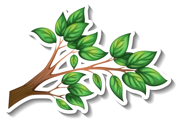 Vetor grátis adesivo de galho de árvore com folhas verdes em fundo branco