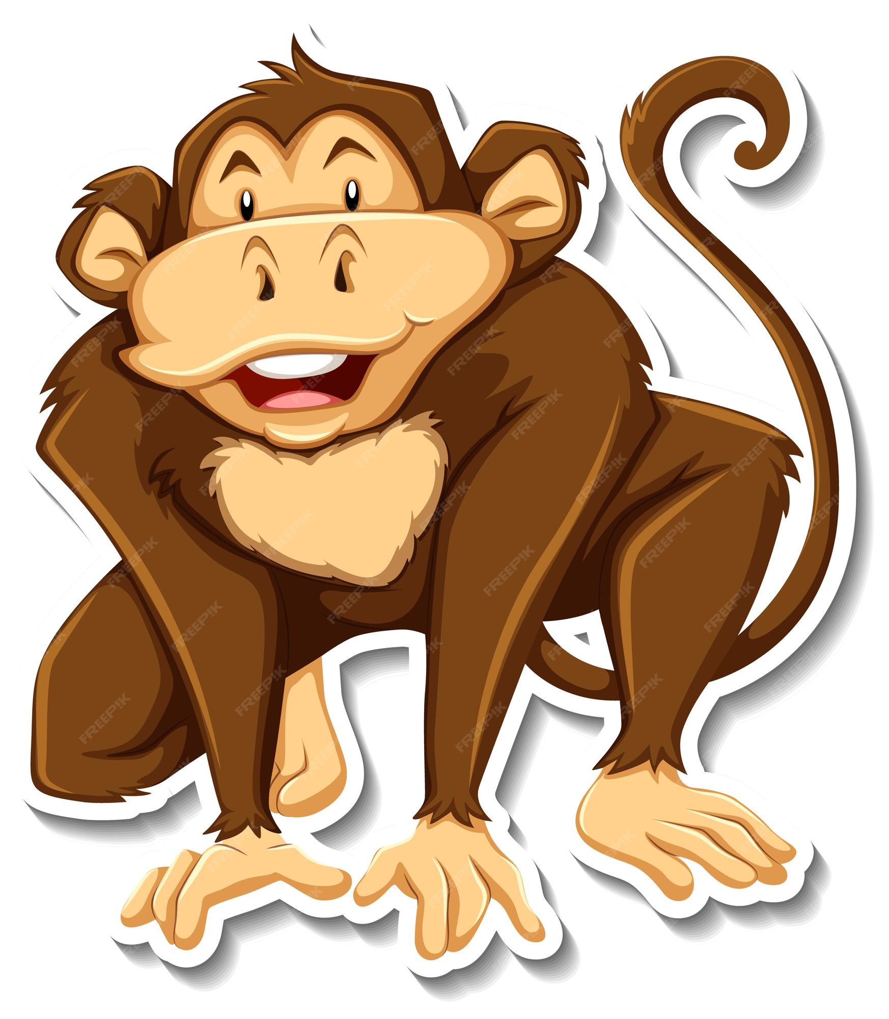 Vetores e ilustrações de Macaco png para download gratuito