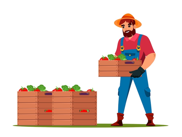 Vetor grátis agricultor coletando vegetais orgânicos naturais frescos em caixa de madeira preparação para comércio no mercado de alimentos ecológicos de fazenda de rua