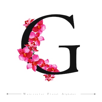 Alfabeto letra g aquarela floral background