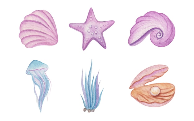 Algas marinhas desenhadas à mão clipart em aquarela