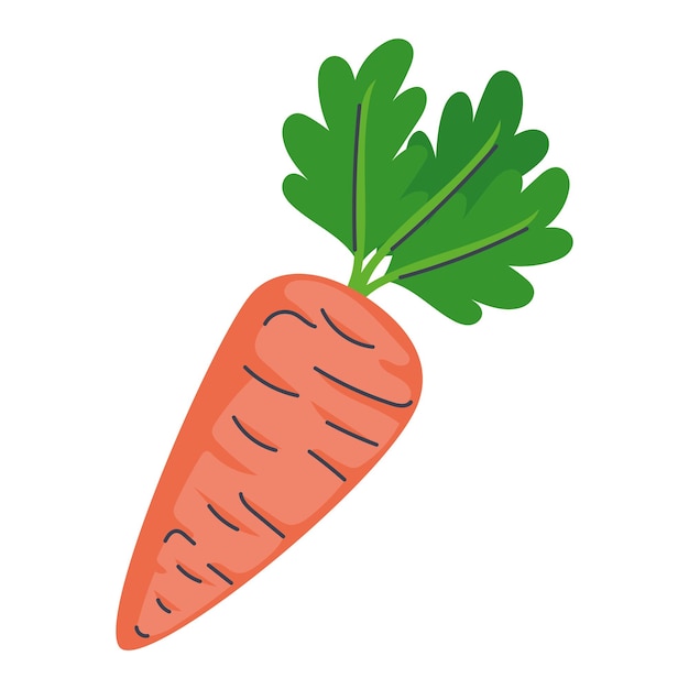 Vetor grátis alimentos saudáveis com cenouras e vegetais frescos