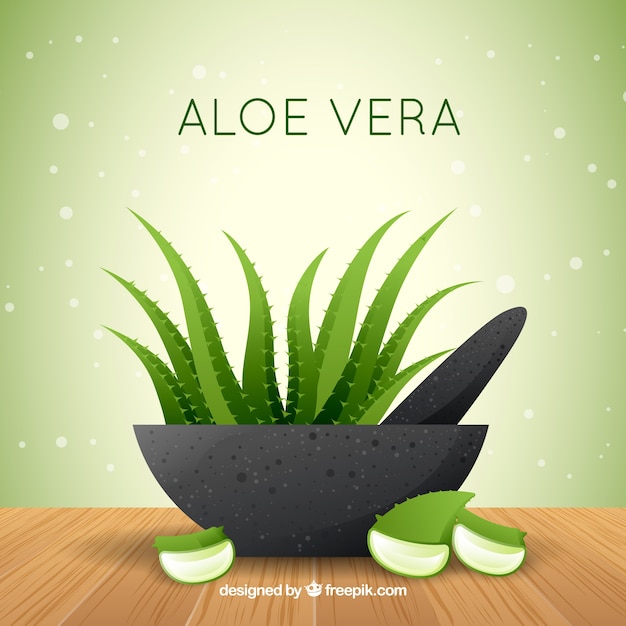 Vetor grátis aloe vera background in flat design