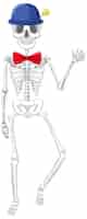 Vetor grátis anatomia de esqueleto humano isolado