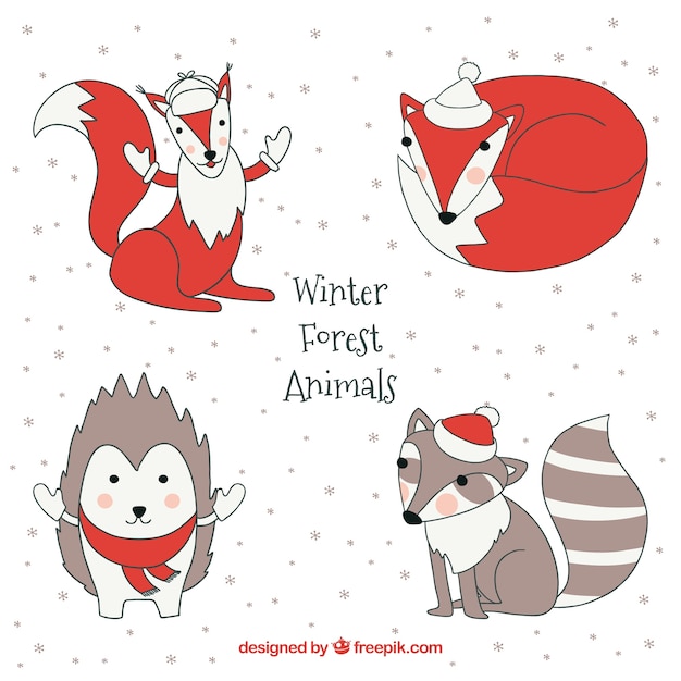 animais da floresta de inverno desenhados mão