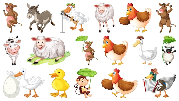 Animais de fazenda no fundo branco
