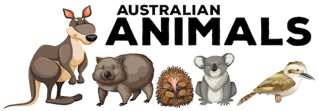 Vetor grátis animais selvagens da austrália
