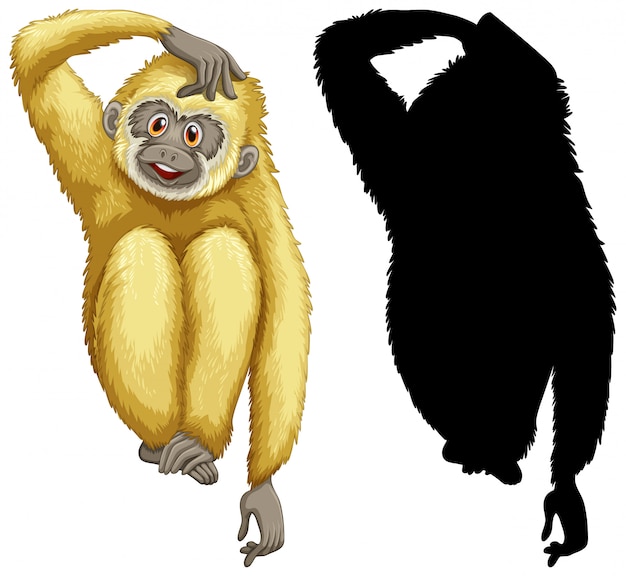 Desenho Animado De Macaco-prego Giro Ilustração do Vetor - Ilustração de  criatura, mandril: 248957261