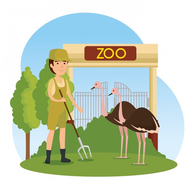 Animal selvagem de avestruzes no zoológico com homem de safari