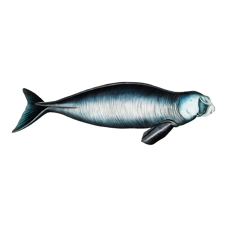 Vetor grátis animal vintage, ilustração